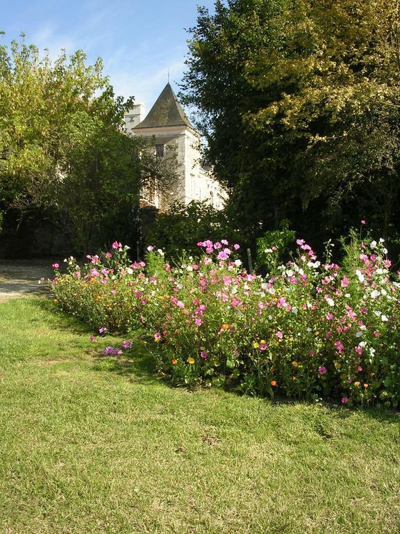 Chateau De La Noblaye Bed & Breakfast Lemere Exterior photo