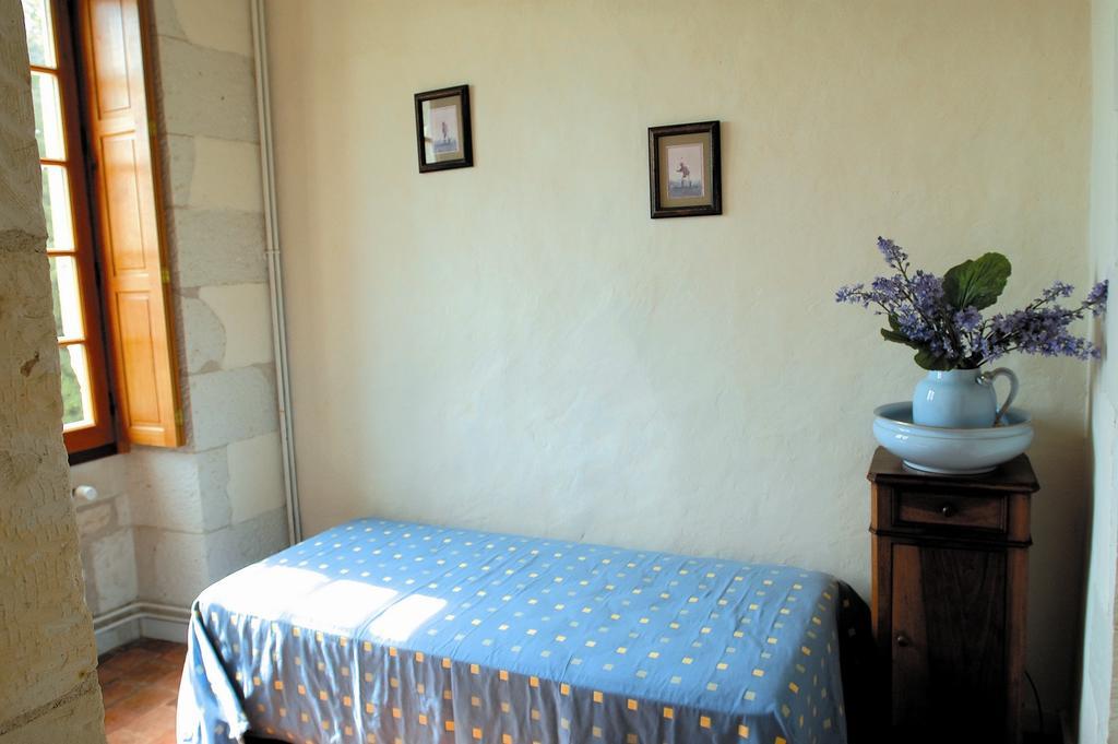 Chateau De La Noblaye Bed & Breakfast Lemere Exterior photo